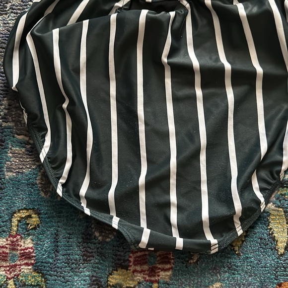 Albion THE MEGAN ONE-PIECE SWIMSUIT Green and White Stripe Medium - Picture 9 of 11